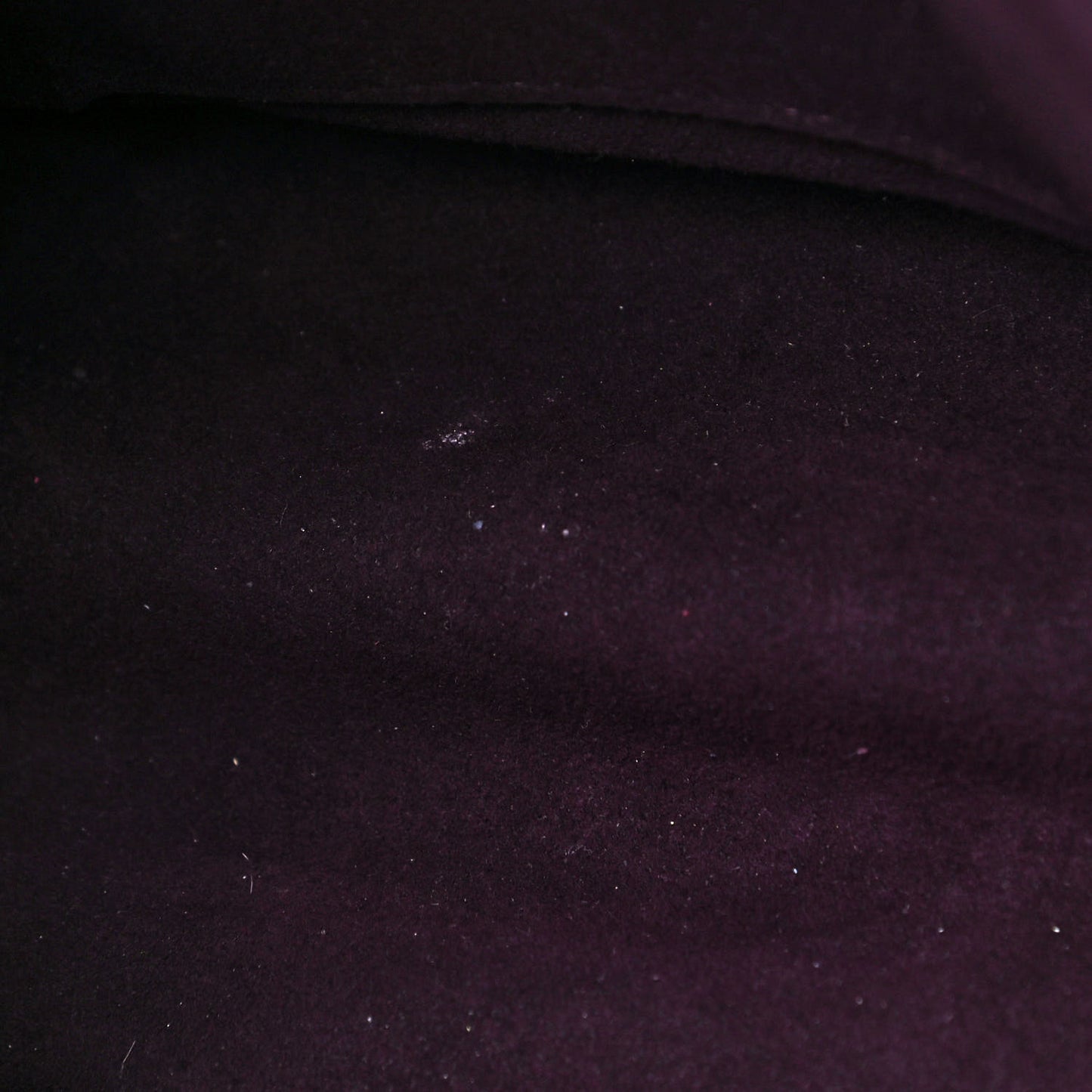 Monogram Pallas Quetsche