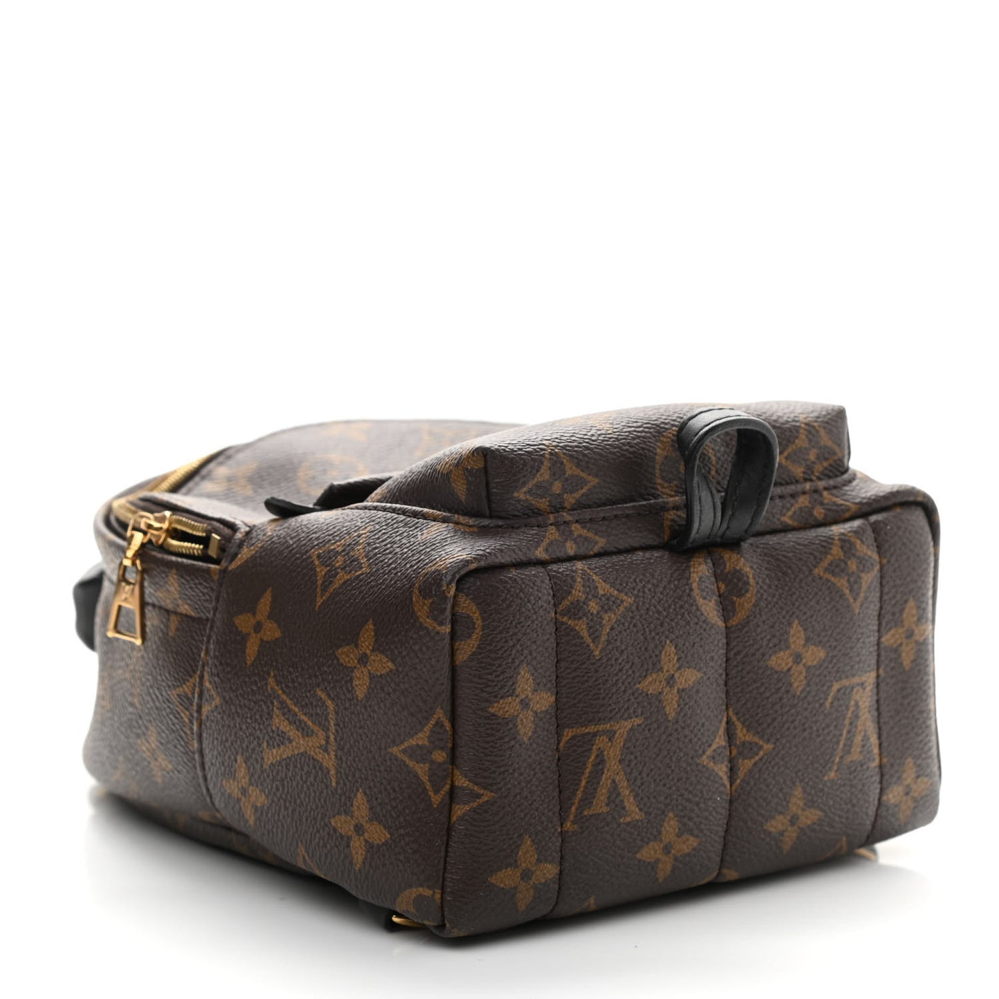 Monogram Palm Springs Backpack Mini