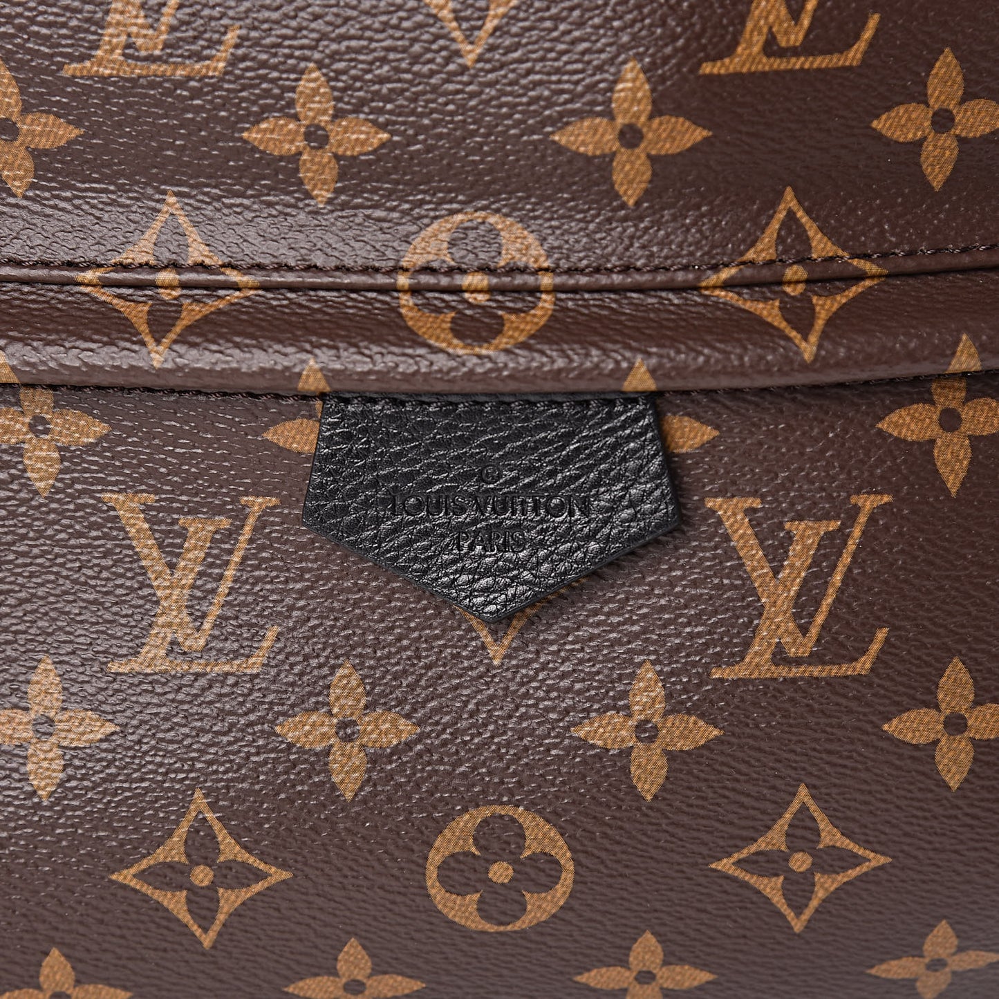 Monogram Palm Springs Backpack MM