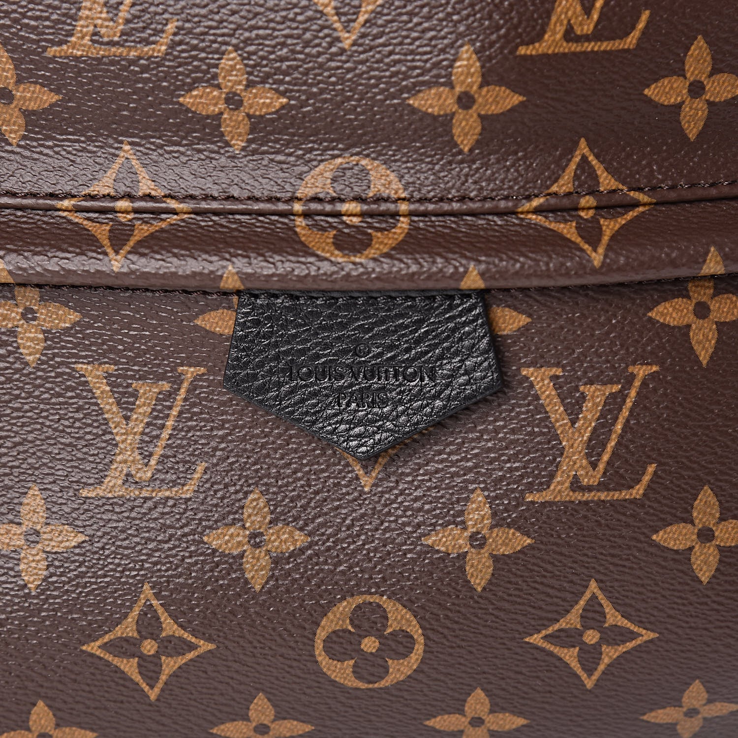 Louis Vuitton Monogram Palm Springs Backpack MM 7 of 10