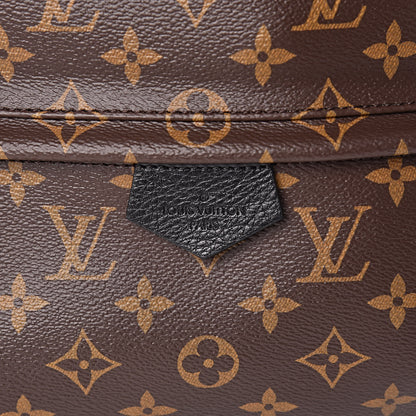 Louis Vuitton Monogram Palm Springs Backpack MM 7 of 10