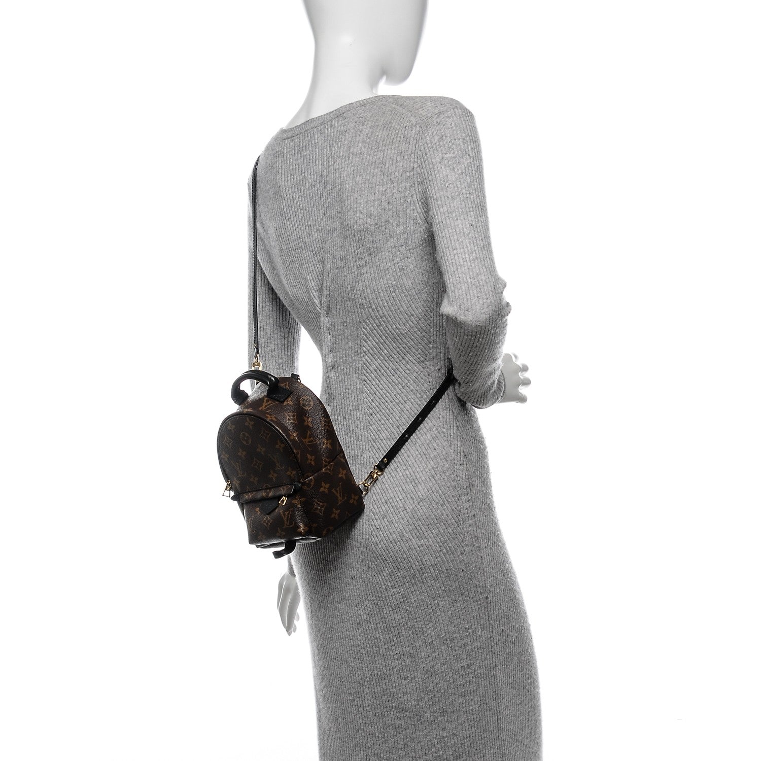 Louis Vuitton Monogram Palm Springs Backpack Mini 2 of 6