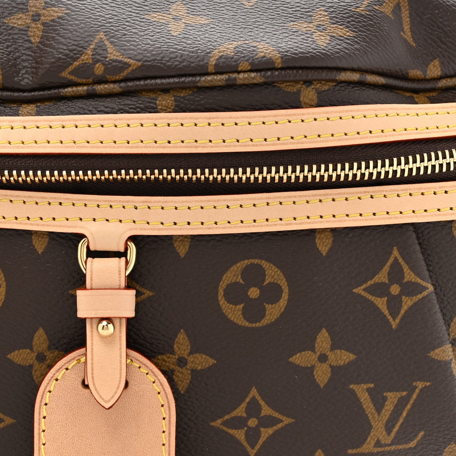 Louis Vuitton Monogram High Rise Bumbag 7 of 9