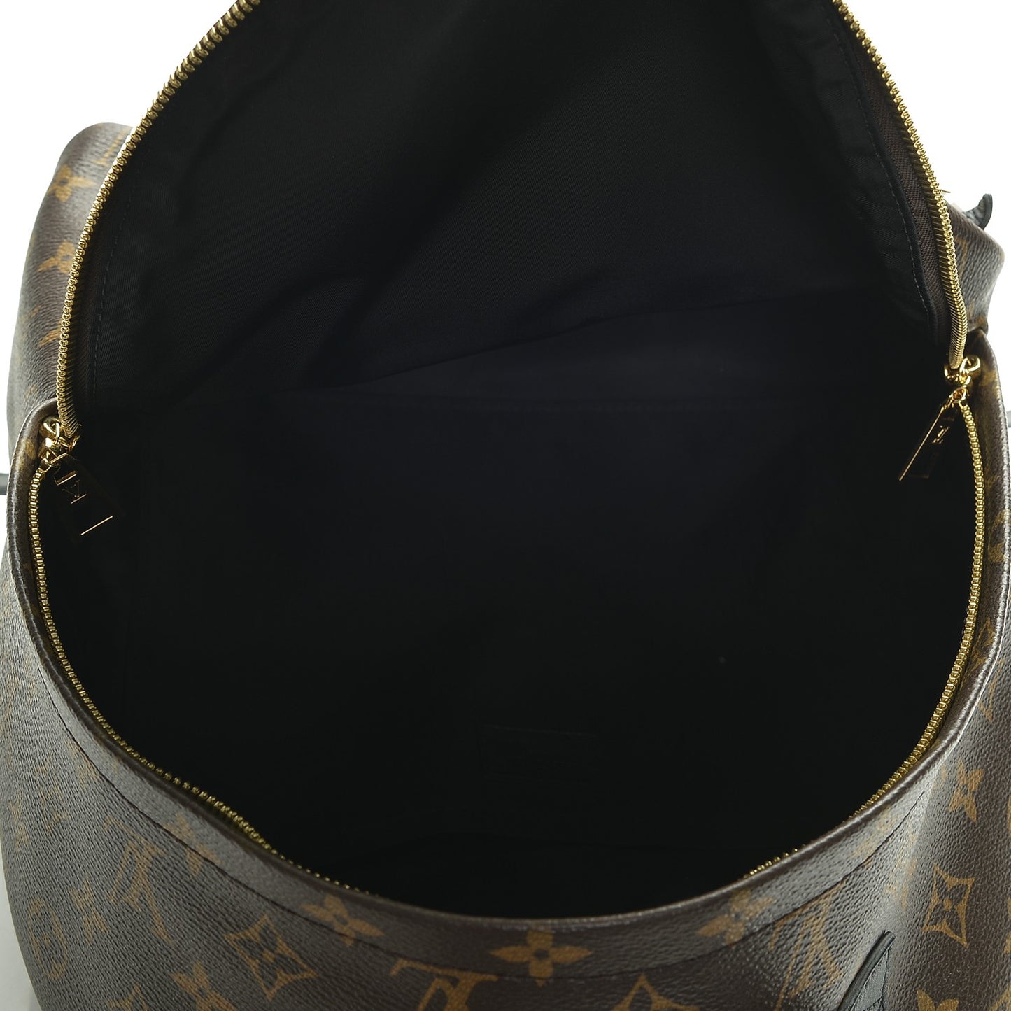 Monogram Palm Springs Backpack MM