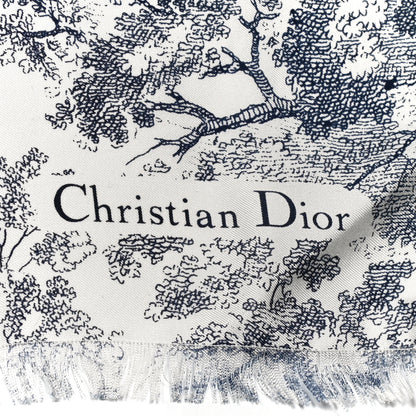 Christian Dior Silk Toile De Jouy Fringe Scarf Blue 2 of 4