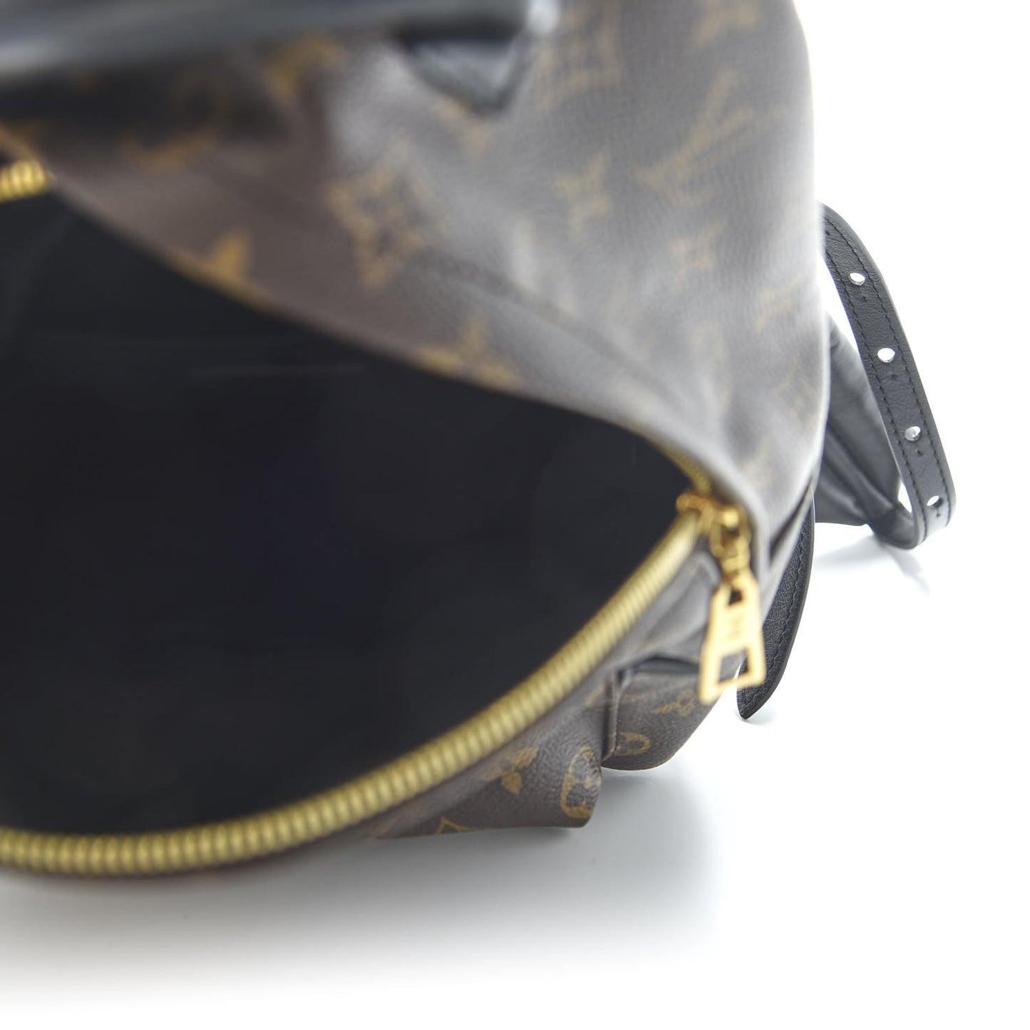 Monogram Palm Springs Backpack PM