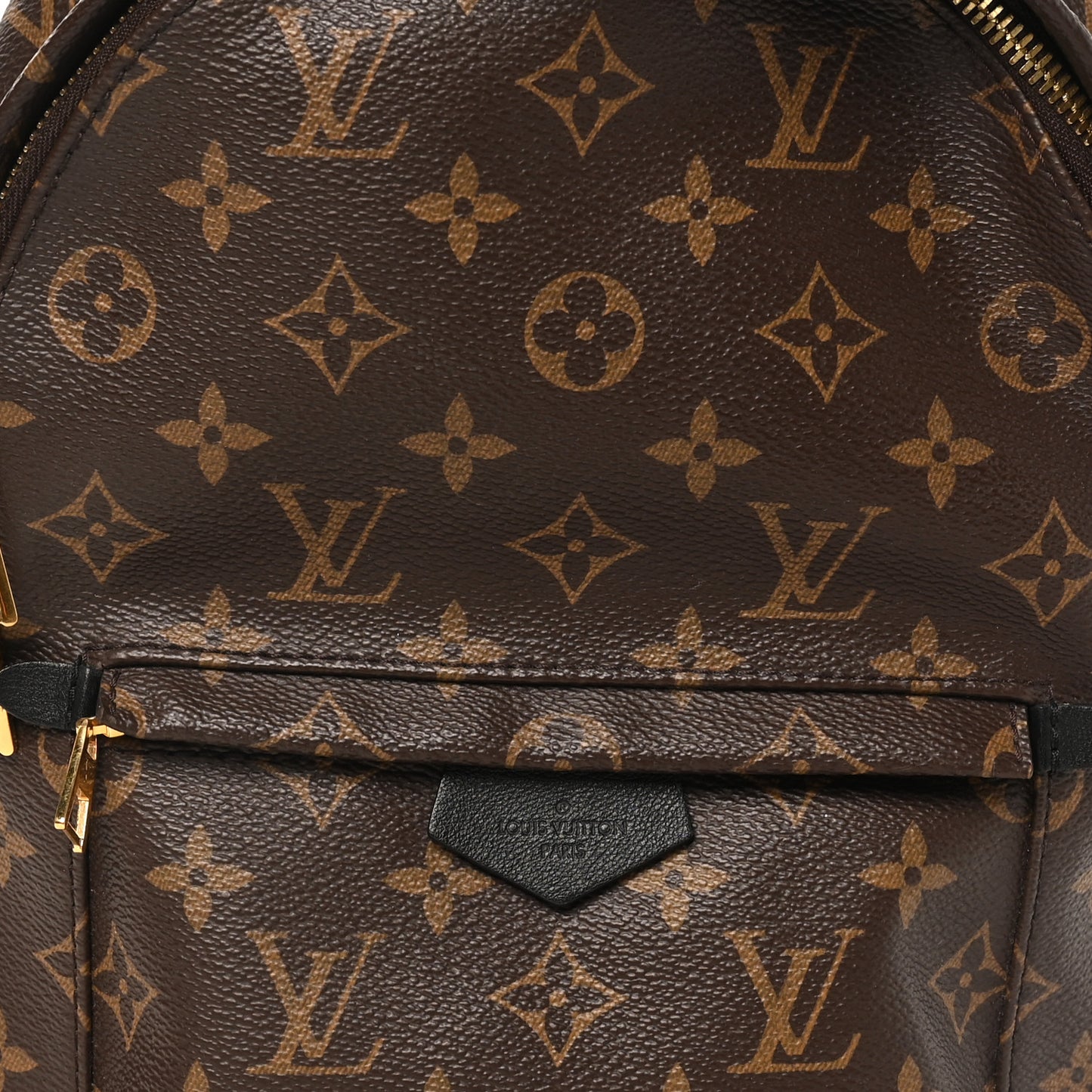 Monogram Palm Springs Backpack PM