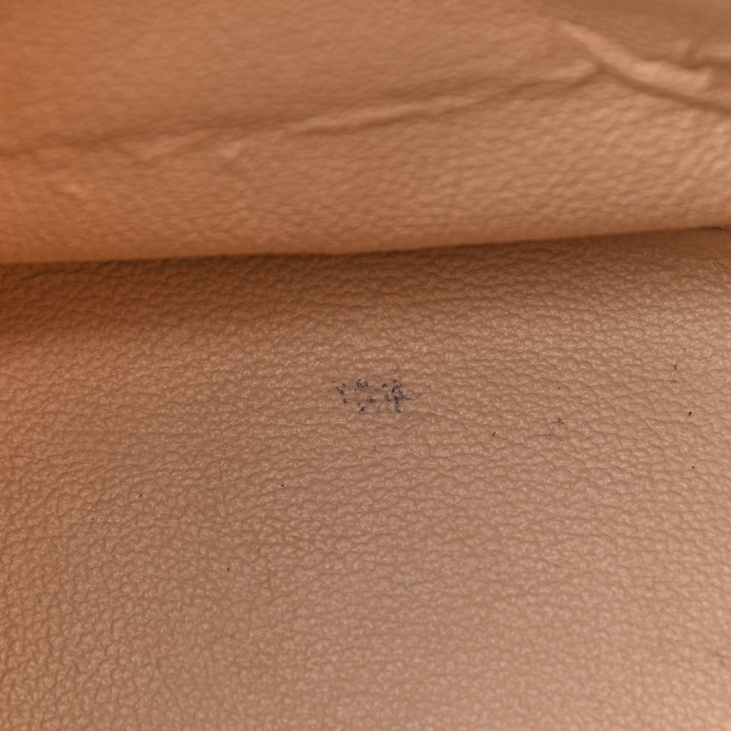 Monogram Petit Bucket 23