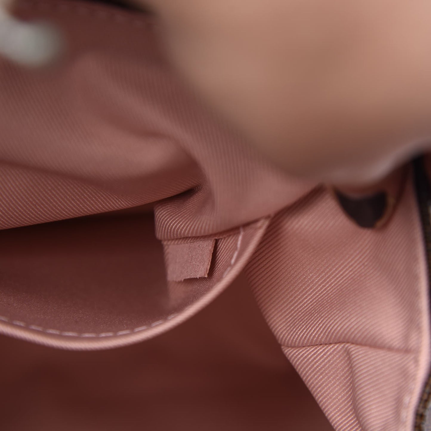 Damier Ebene Clapton Backpack Magnolia