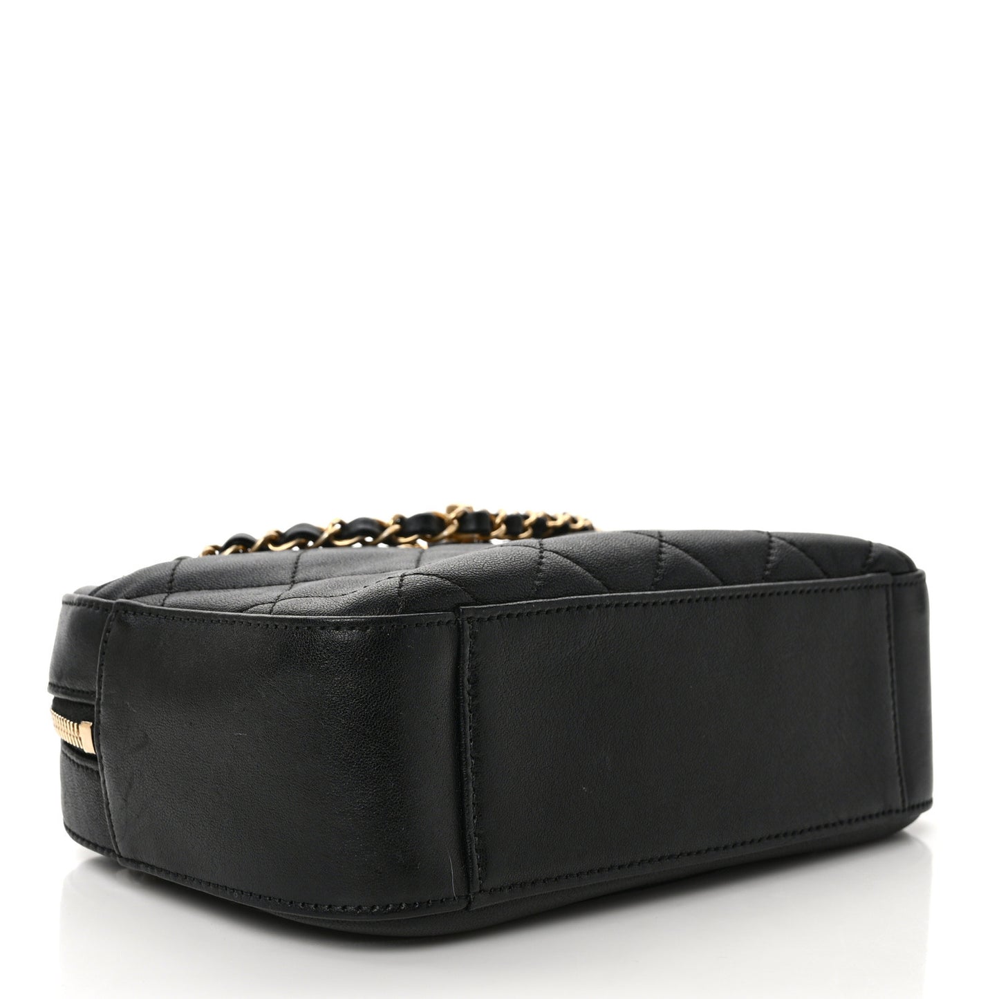Goatskin Quilted Chanel 19 Camera Case Black