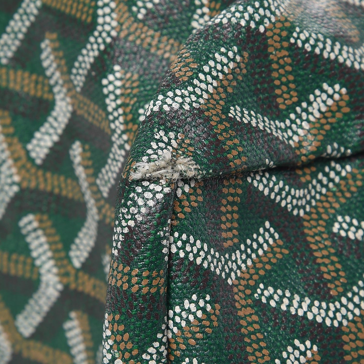 Goyard Goyardine Saint Louis PM Green 12 of 16