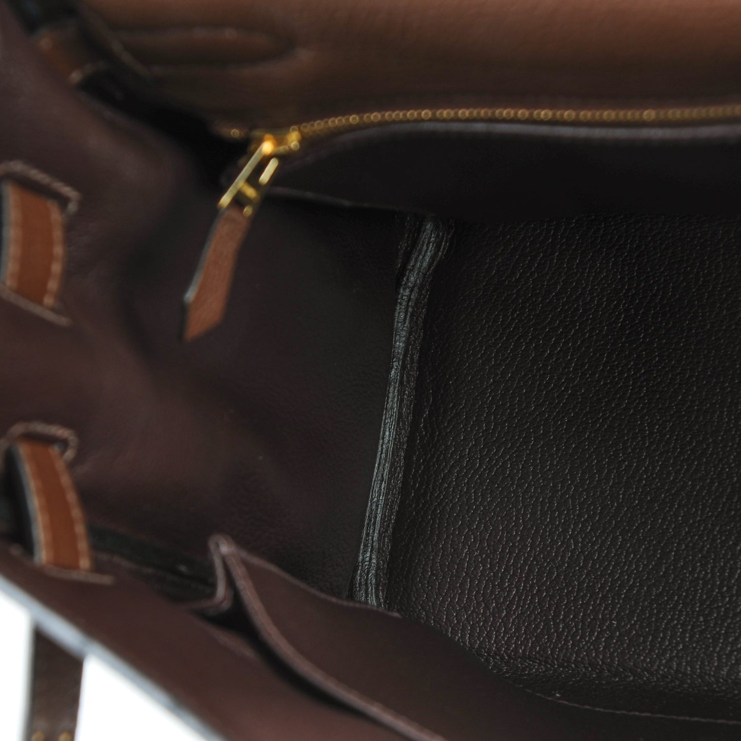 Taurillon Clemence Kelly Retourne 32 Chocolate