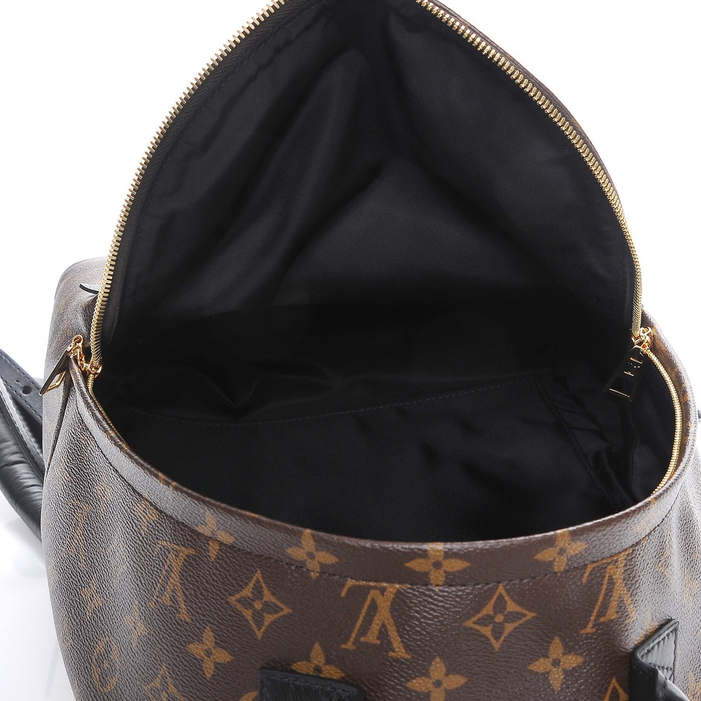 Monogram Palm Springs Backpack MM