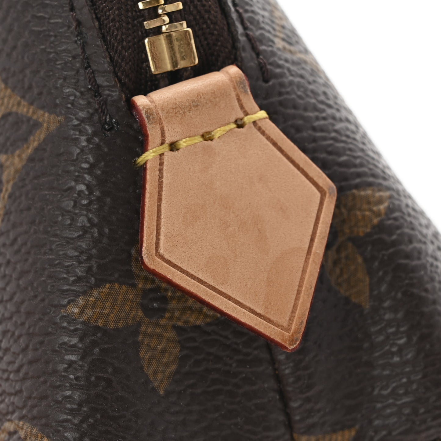 Monogram World Tour Cosmetic Pouch