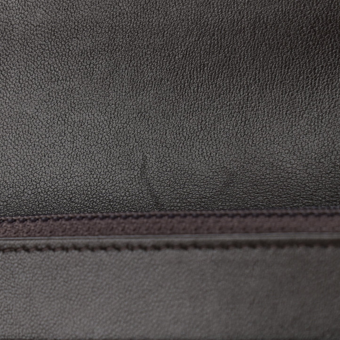 Shiny Goatskin Quilted Chanel 19 Wallet On Chain WOC Dark Brown