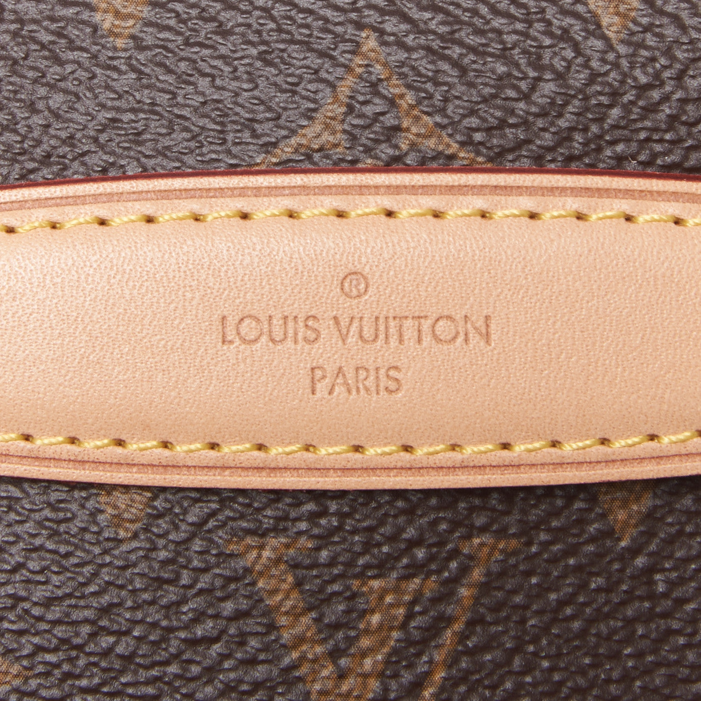 Louis Vuitton Monogram Bumbag 7 of 10