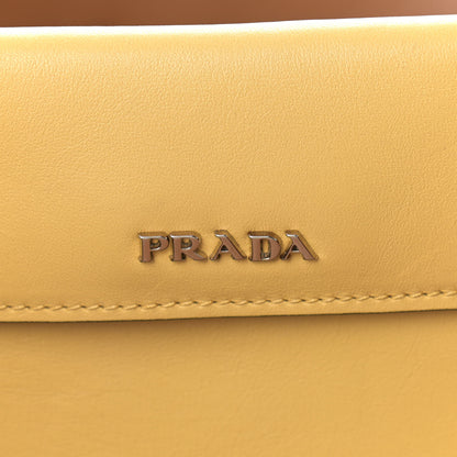 Prada City Calf Double Bag Ginestra 6 of 16