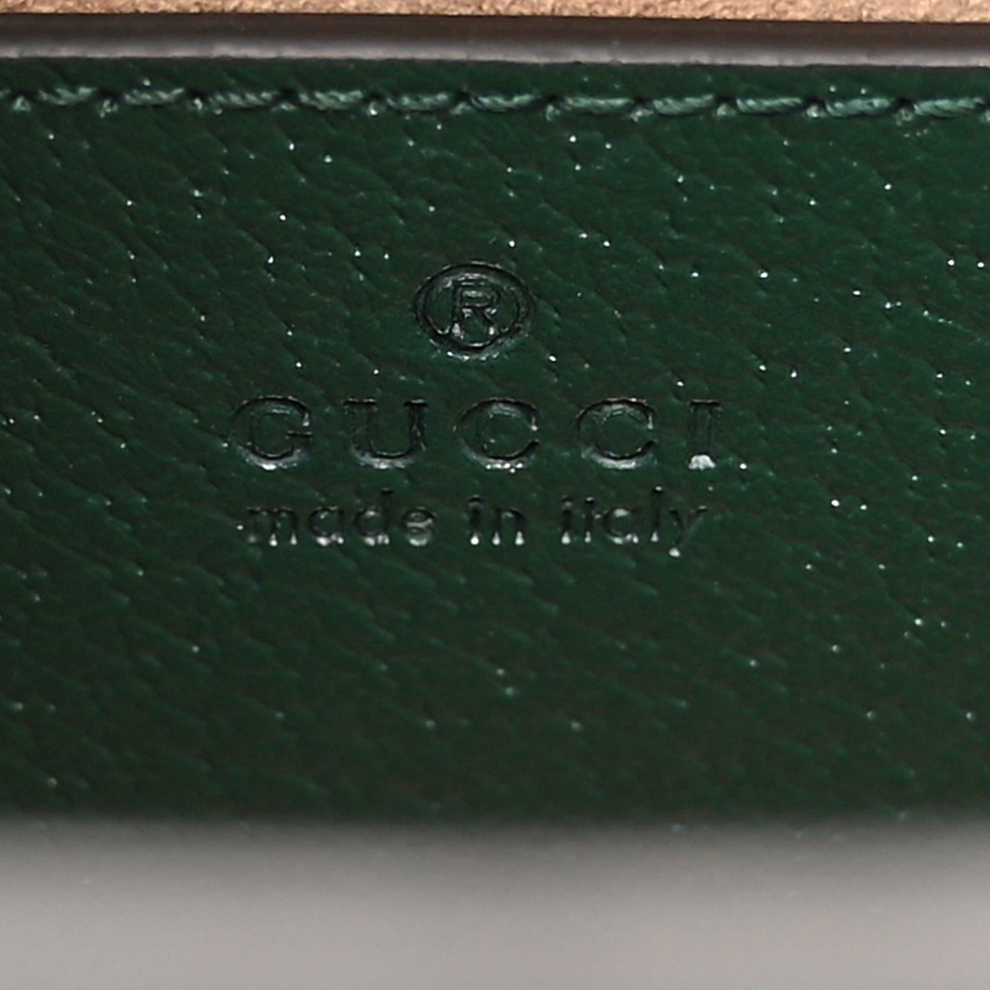 Textured Dollar Calfskin Web Small Diana Tote Bag Green