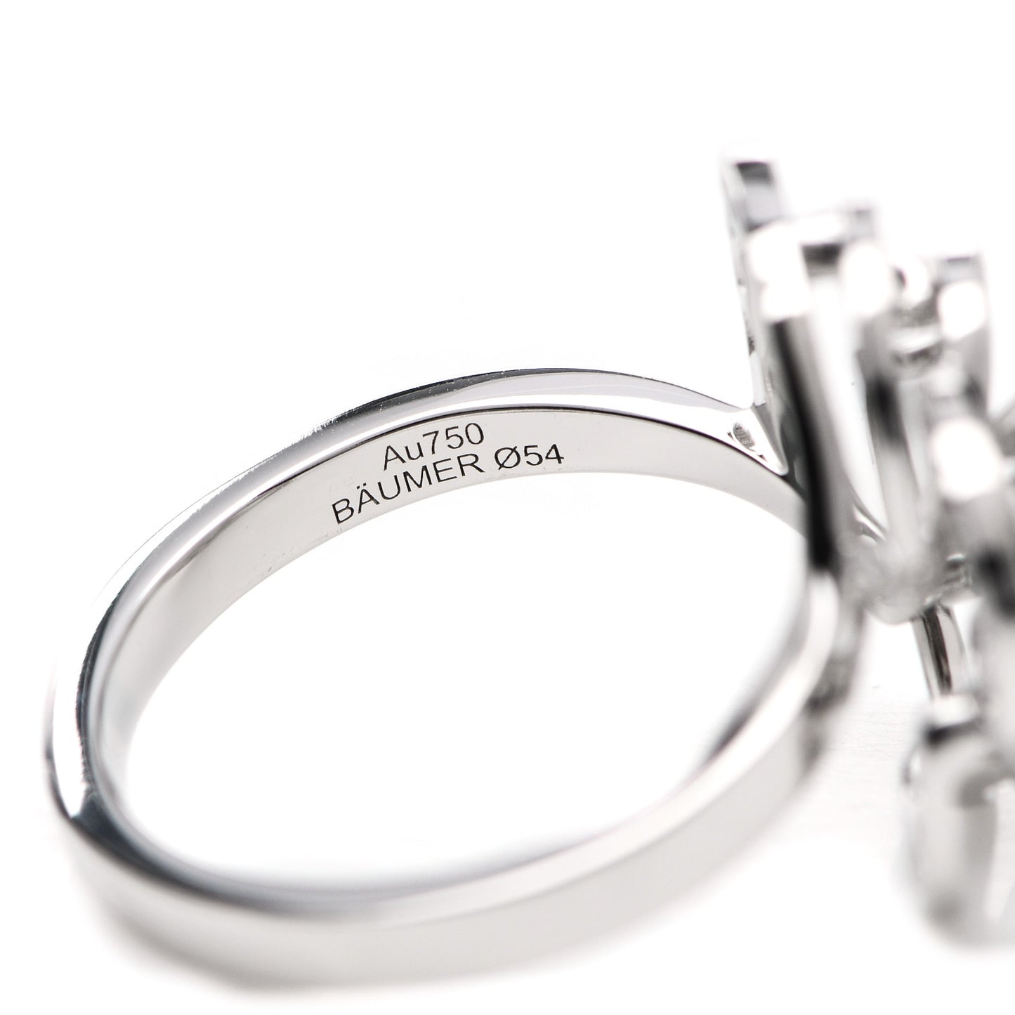 18K White Gold Diamond Fil de Camelia Ring 54 6.75