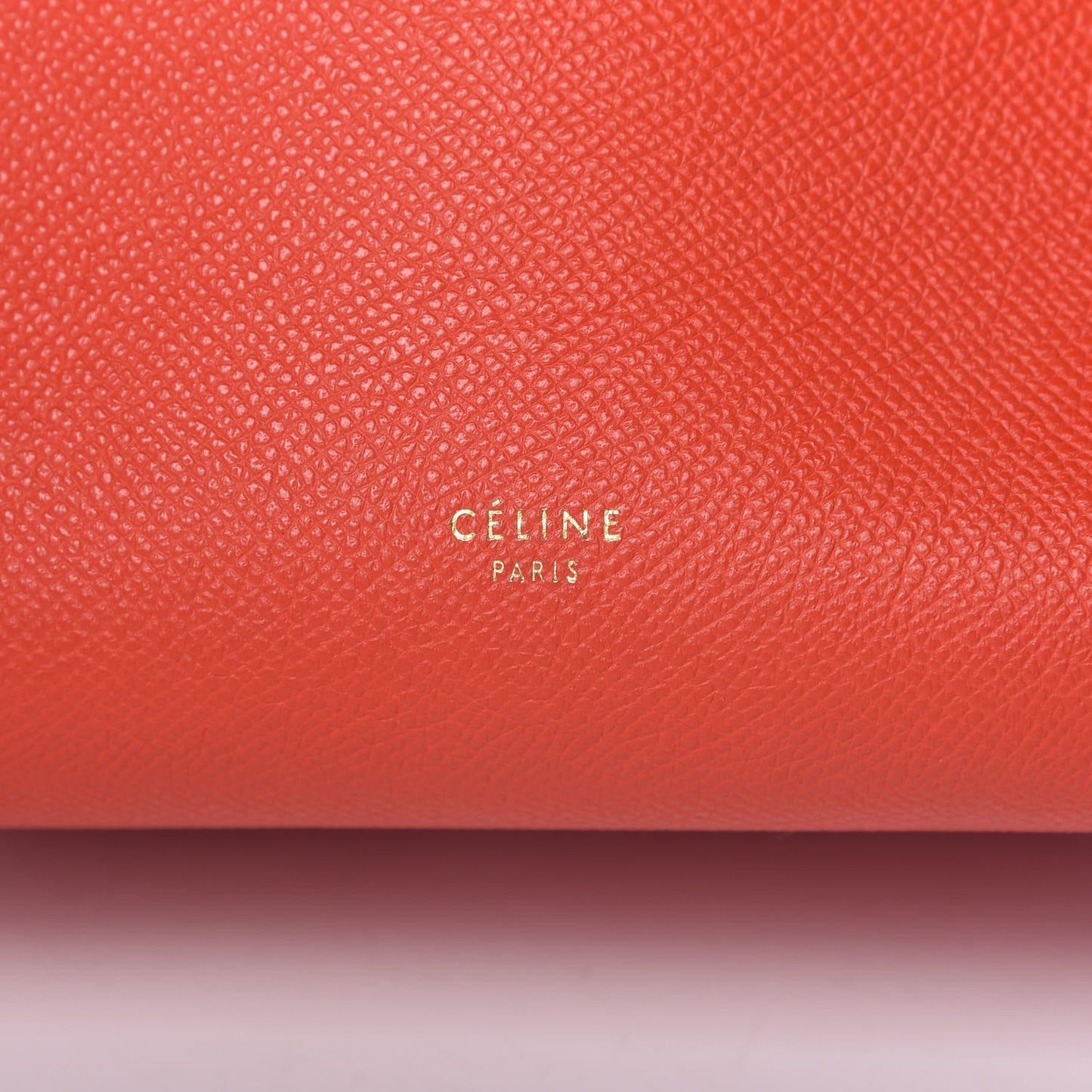 Grained Calfskin Nano Belt Bag Carnelian