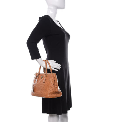 Prada Ostrich Small Galleria Double Zip Tote Cognac 2 of 9