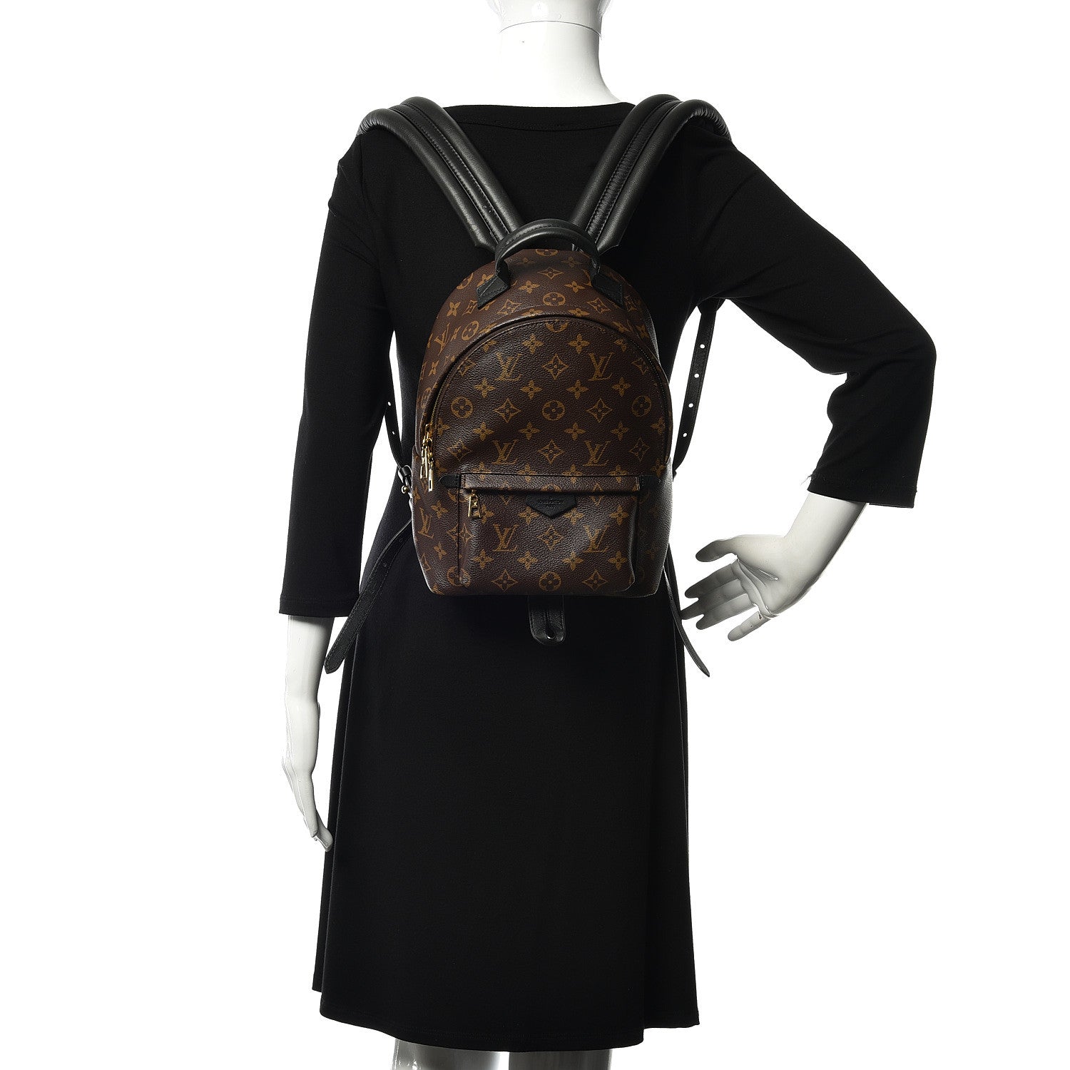 Louis Vuitton Monogram Palm Springs Backpack PM 2 of 11