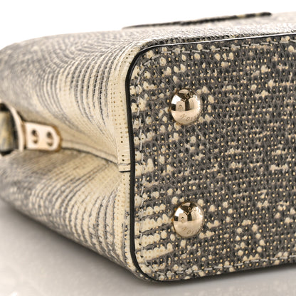Louis Vuitton Lizard Capucines Mini Argento 8 of 9