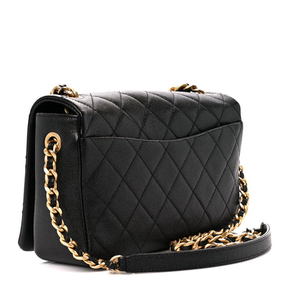 Chanel Caviar Quilted Medium Fashion Therapy Flap Bag Black 3 of 12