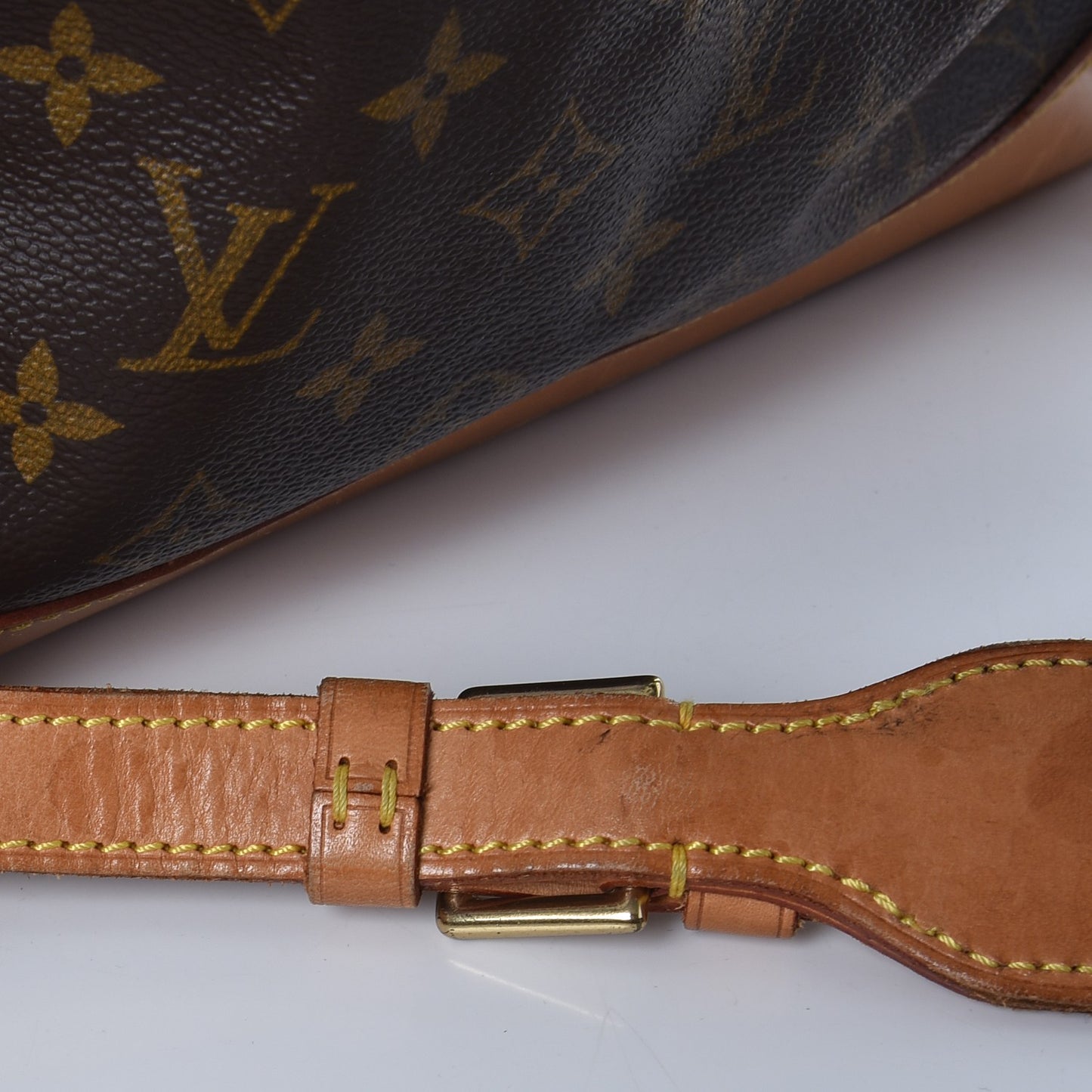 Monogram Montsouris GM Backpack