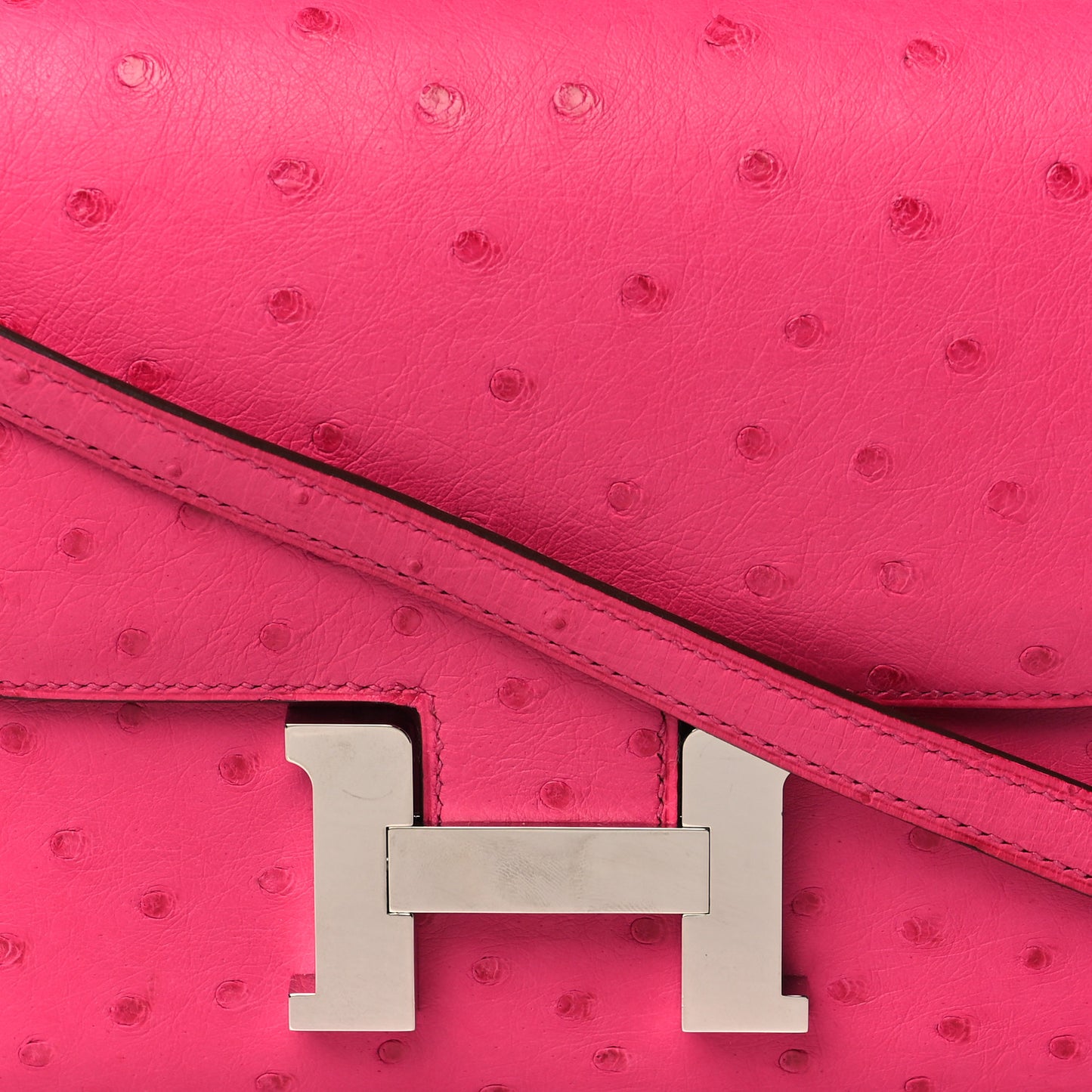 Ostrich Constance 18 Rose Tyrien