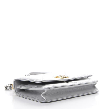 Chanel Metallic Goatskin Quilted 19 Wallet On Chain WOC Silver 3 of 12