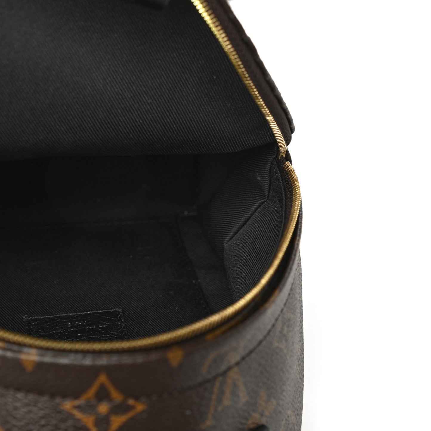 Monogram Palm Springs Backpack Mini