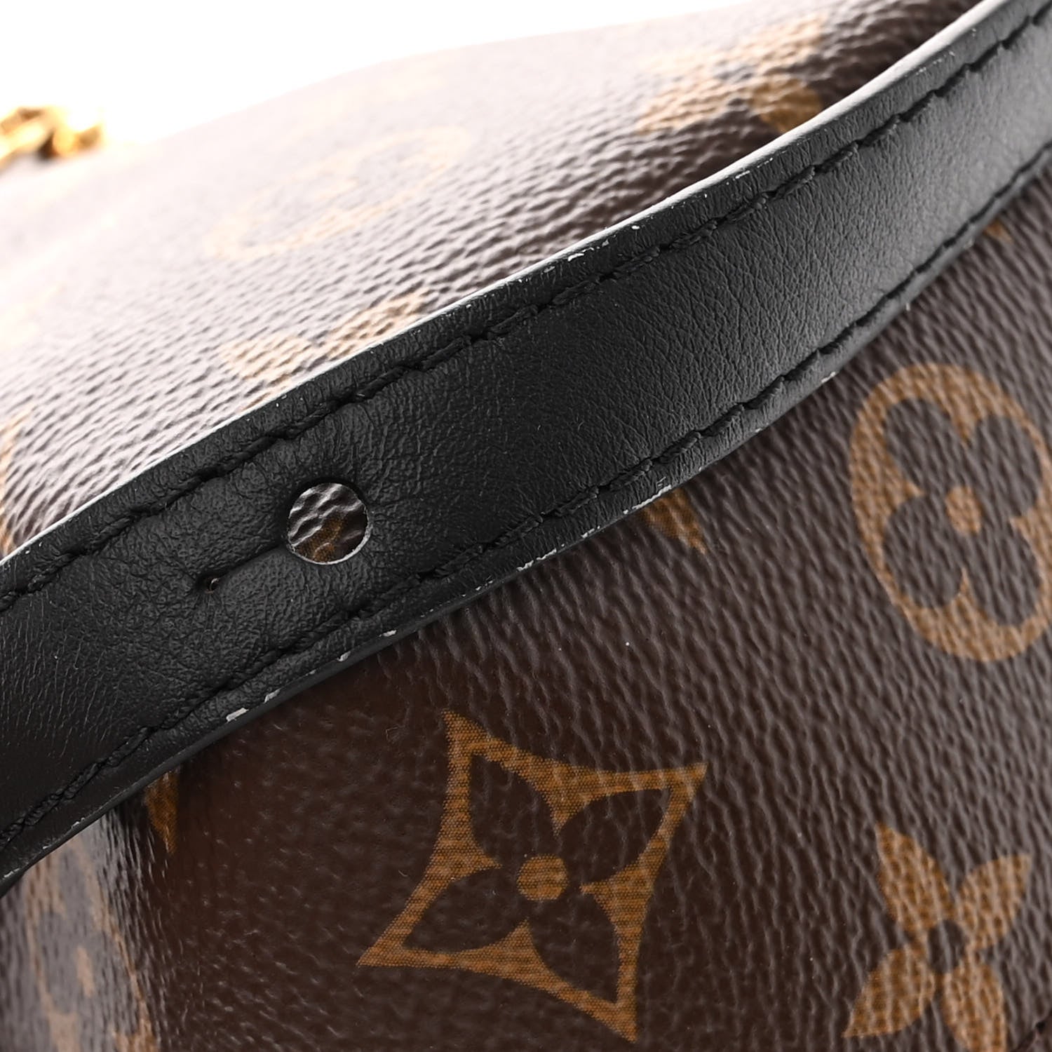 Louis Vuitton Monogram Palm Springs Backpack PM 10 of 11