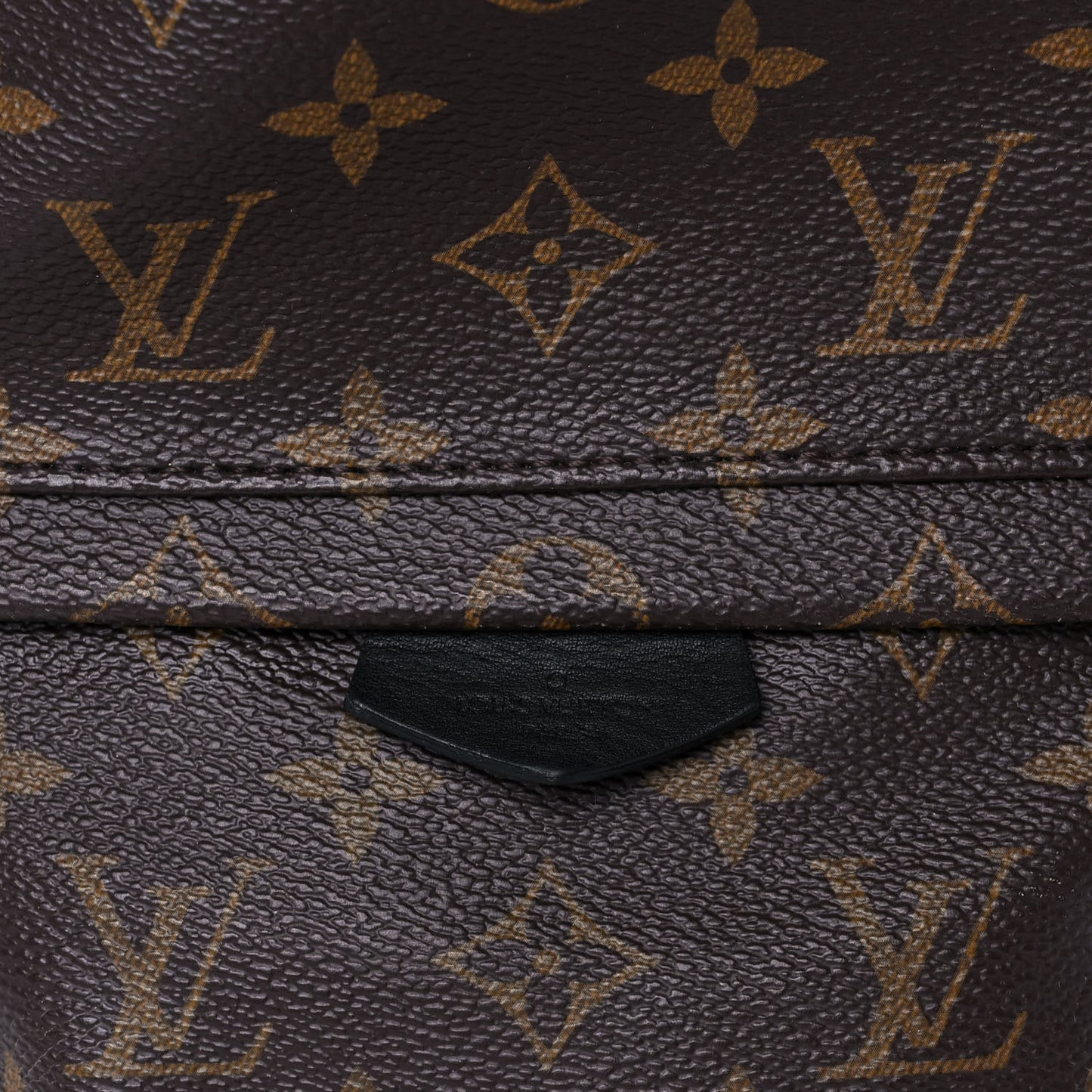 Monogram Palm Springs Backpack PM
