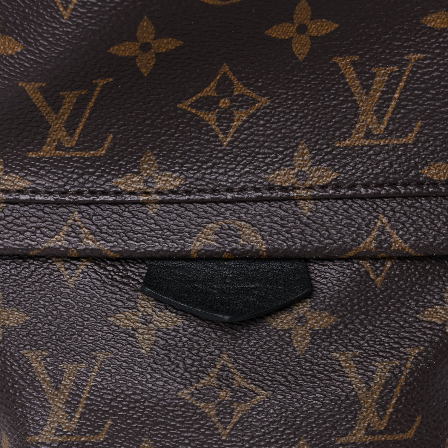 Louis Vuitton Monogram Palm Springs Backpack PM 8 of 12