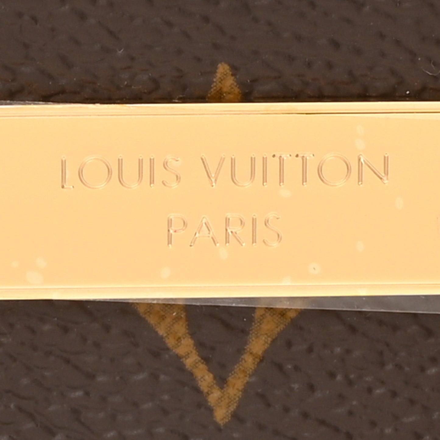 Monogram Liv Pochette