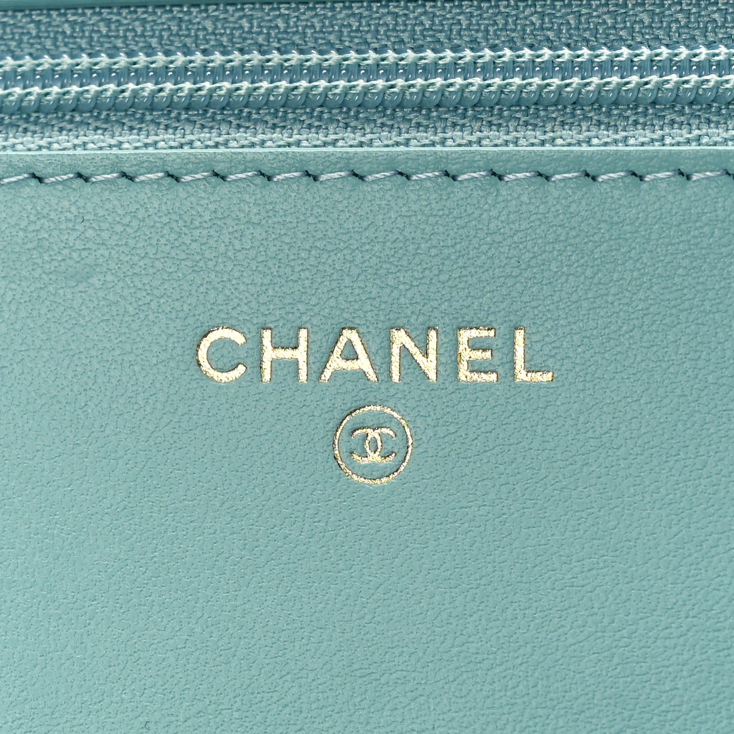 Lambskin Quilted Chanel 19 Wallet On Chain WOC Light Blue
