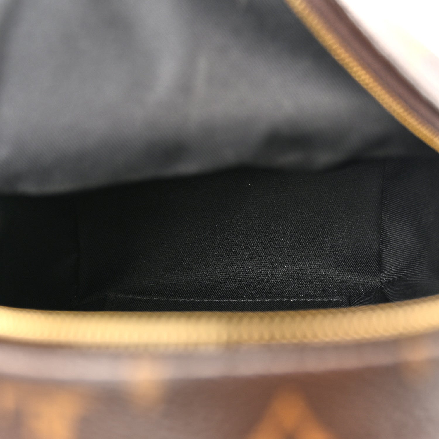 Louis Vuitton Monogram Palm Springs Backpack Mini 5 of 15