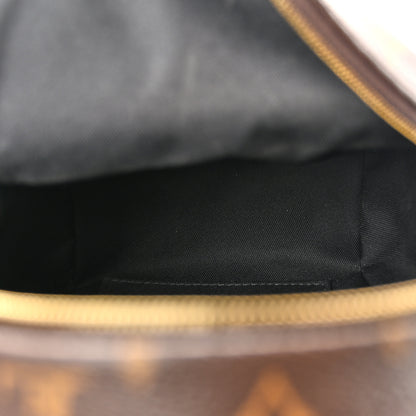 Louis Vuitton Monogram Palm Springs Backpack Mini 5 of 15
