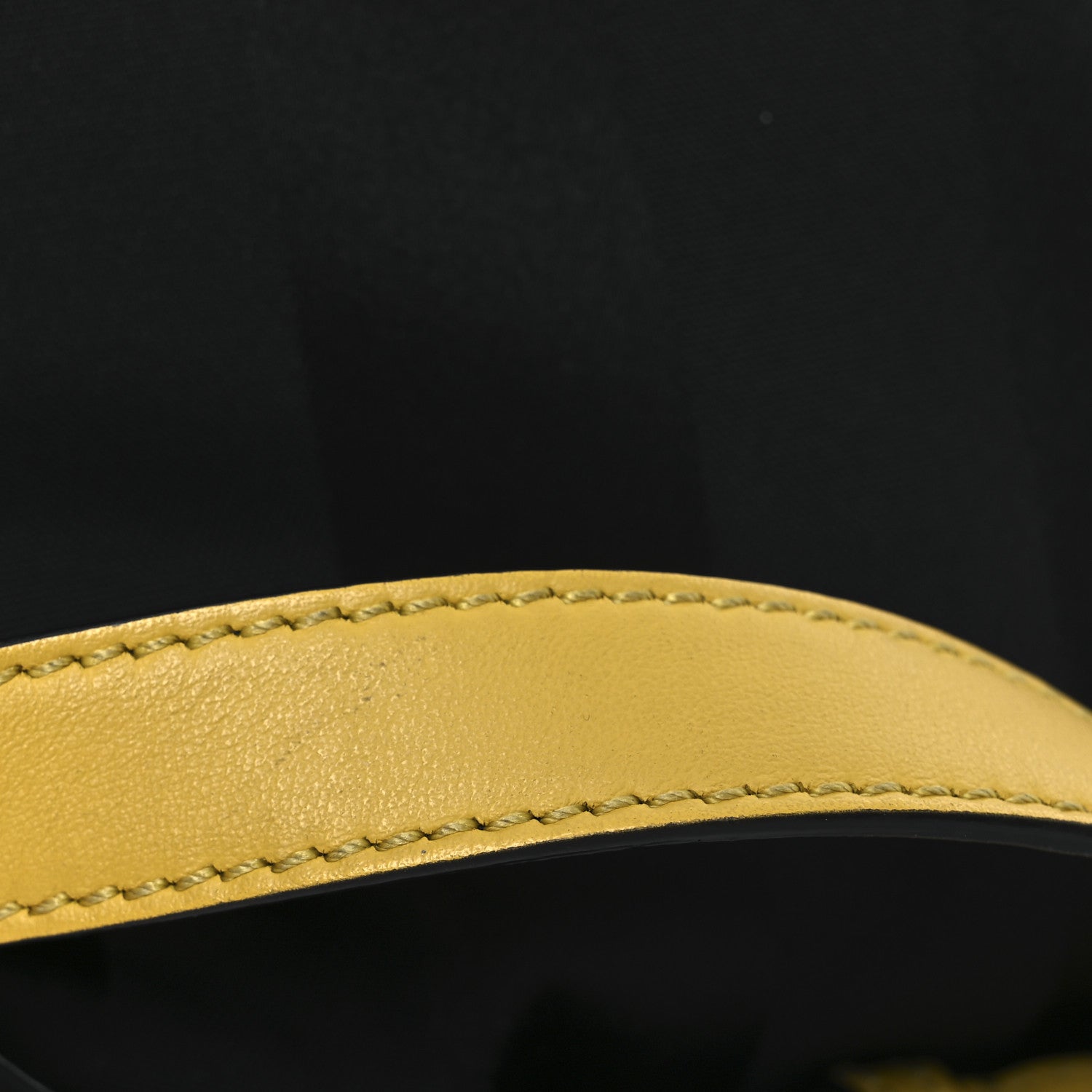 Fendi Recycled Nylon Vitello Grace Light Pequin Small Saint Fendi Roma Drawstring Pouch Black Sunflower 11 of 11