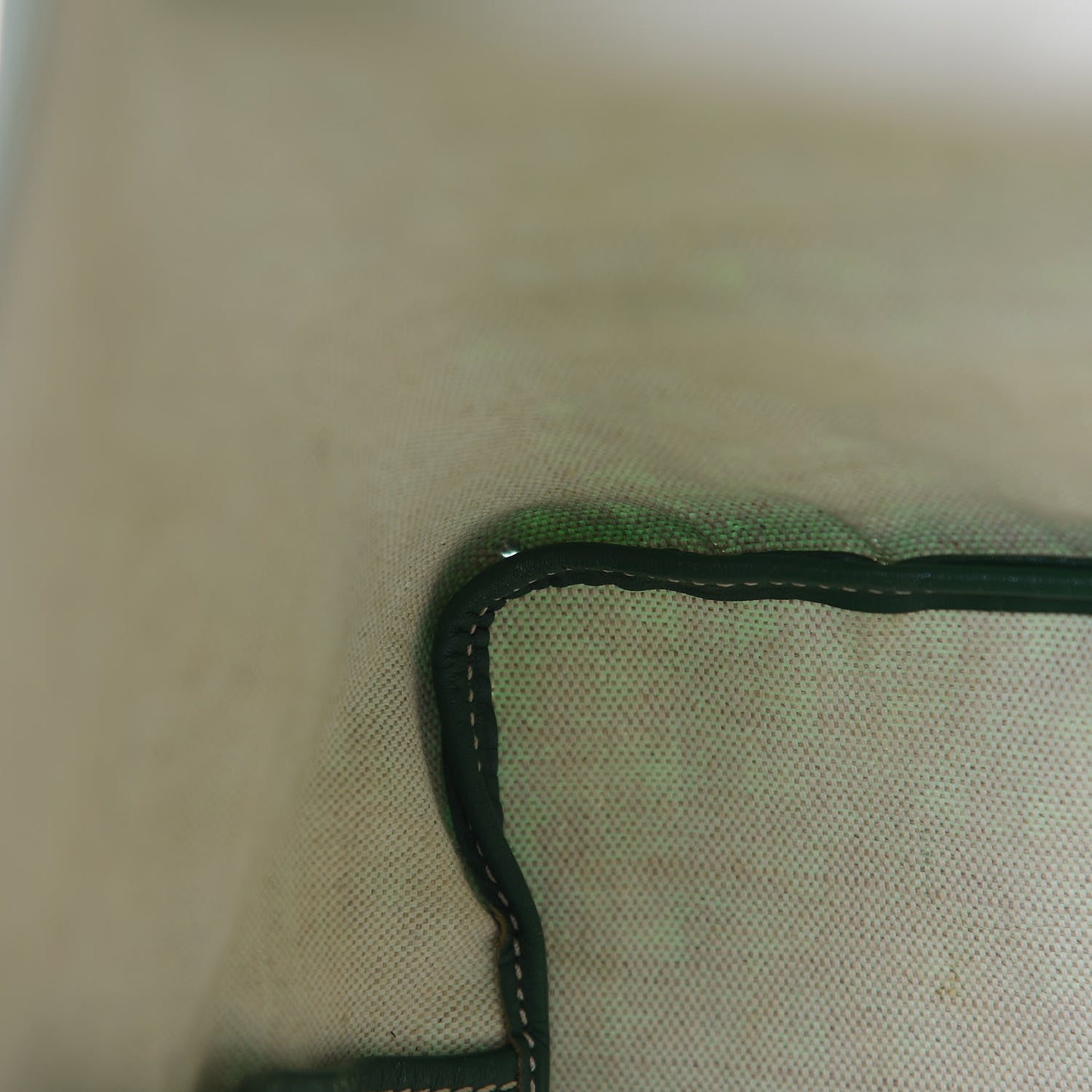 Goyardine Saint Louis PM Green