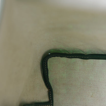 Goyard Goyardine Saint Louis PM Green 16 of 17