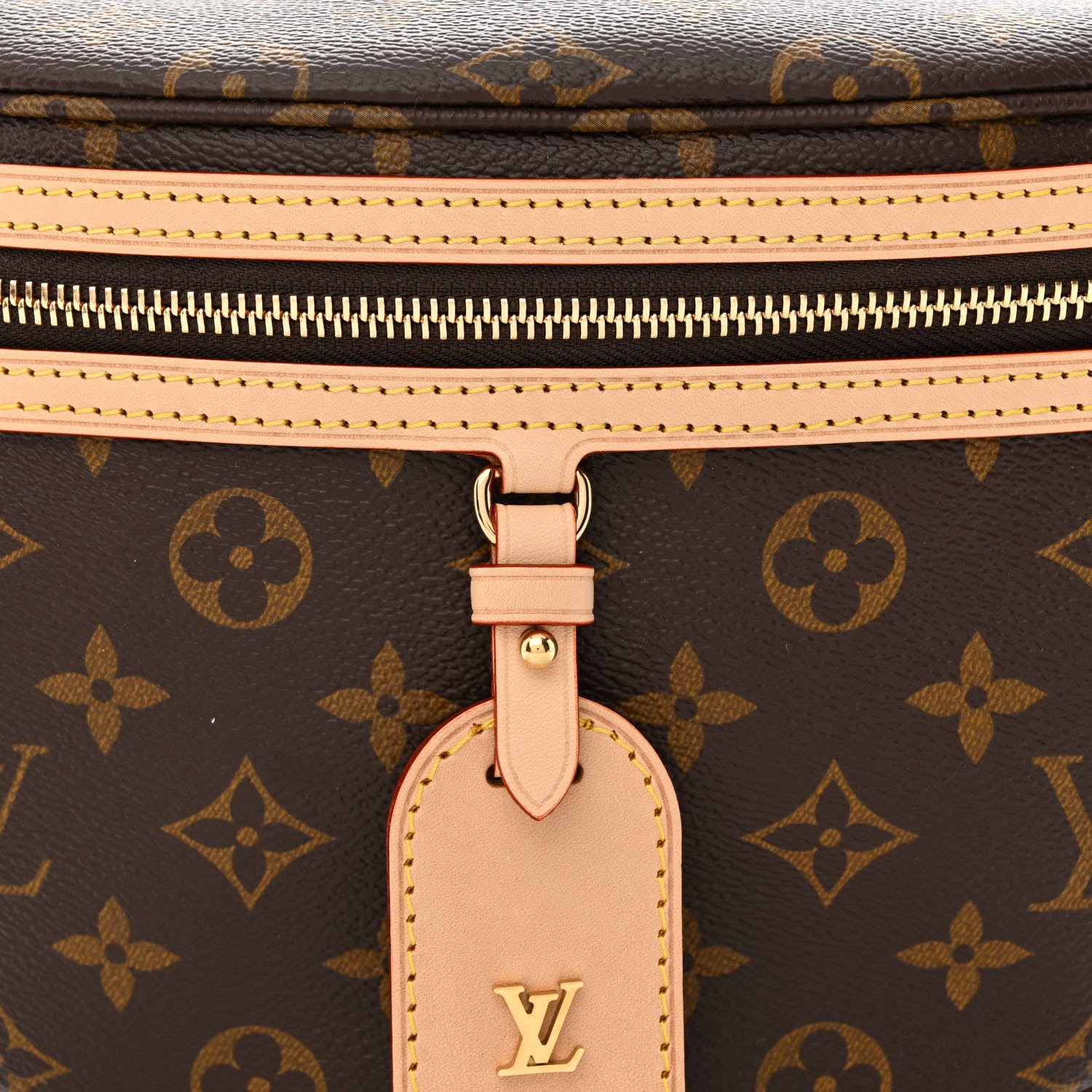 Louis Vuitton Monogram High Rise Bumbag 7 of 10