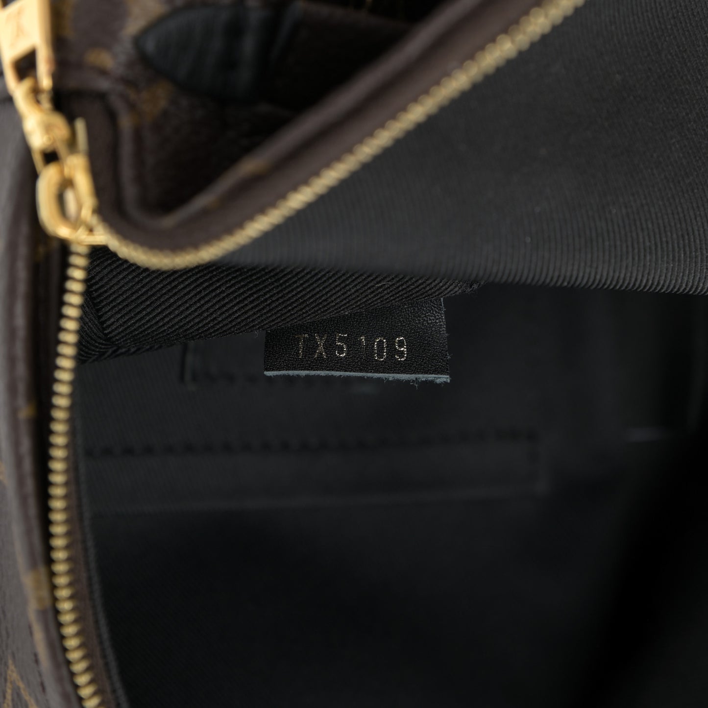 Monogram Palm Springs Backpack Mini