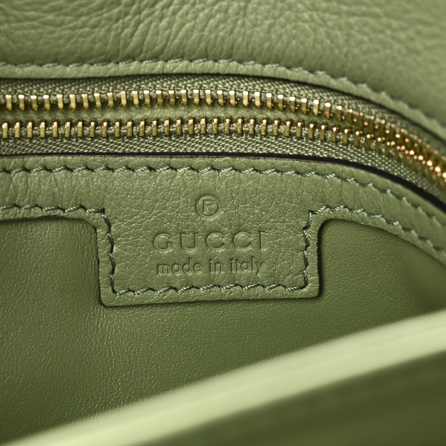 Roxy Calfskin Web Medium Blondie Top Handle Shoulder Flap Bag Salamander Green