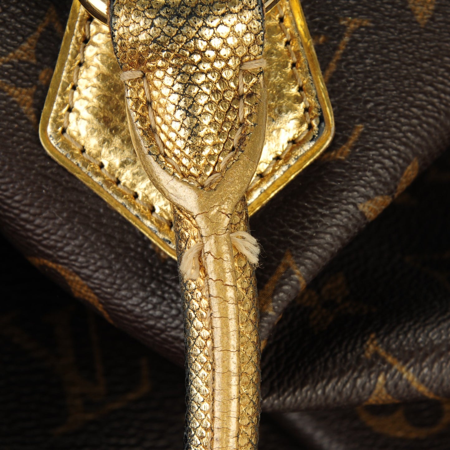 Monogram Leopard Stephen Bag