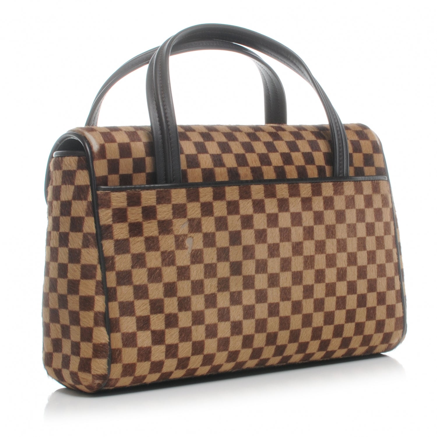 Louis Vuitton Damier Sauvage Lionne 3 of 10