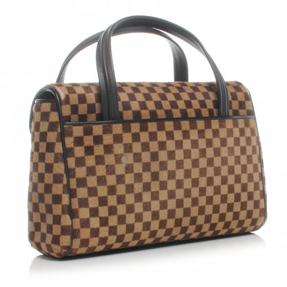 Louis Vuitton Damier Sauvage Lionne 3 of 10