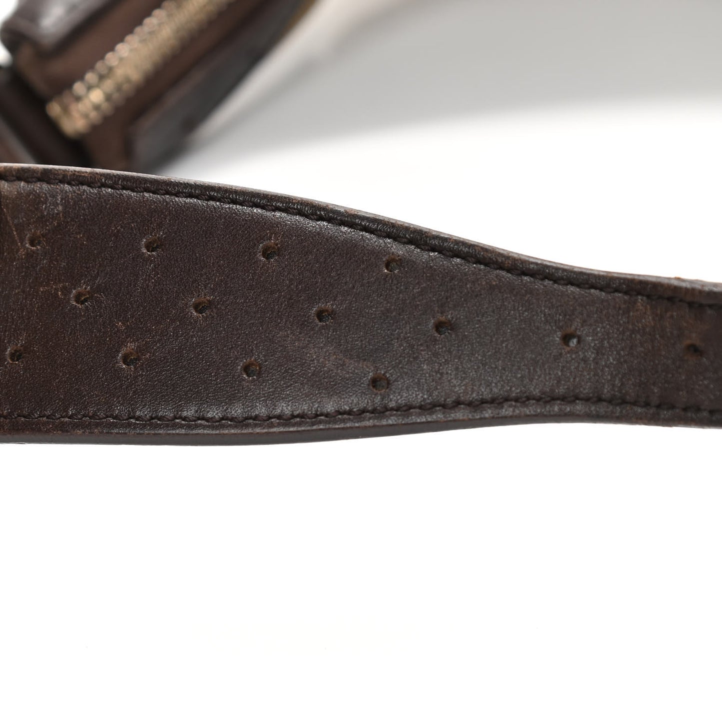 Monogram Web GG Reins Hobo Brown