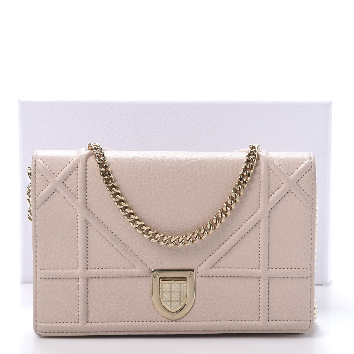Grained Calfskin Diorama Wallet on Chain Pouch Nude